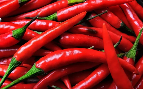 Chili Pepper