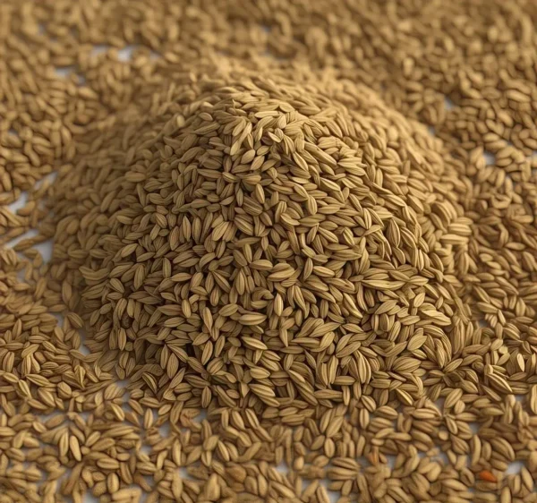 Cumin
