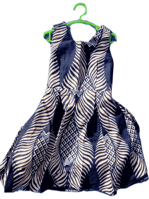 Bold Blue Leaf Pattern Dress